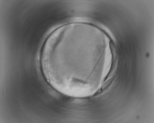 X0000116591419201001211316