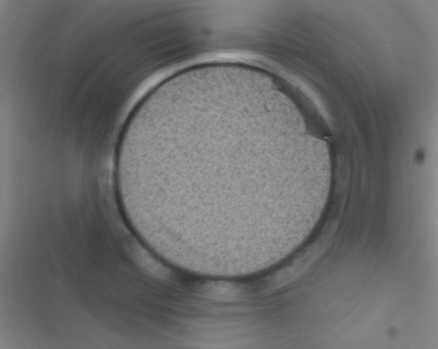 X0000116591420201001211316