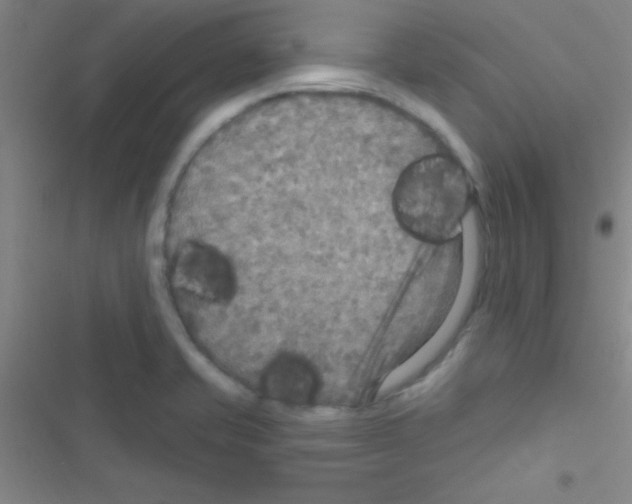 X0000116591421201001211316