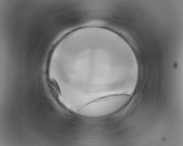 X0000116591422201001211316