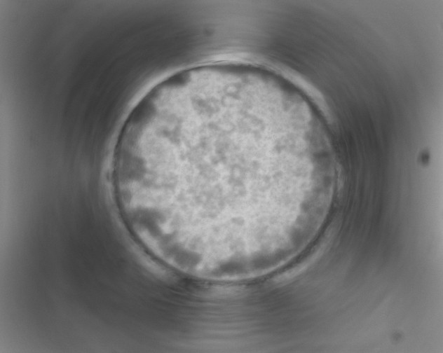 X0000116591423201001211316