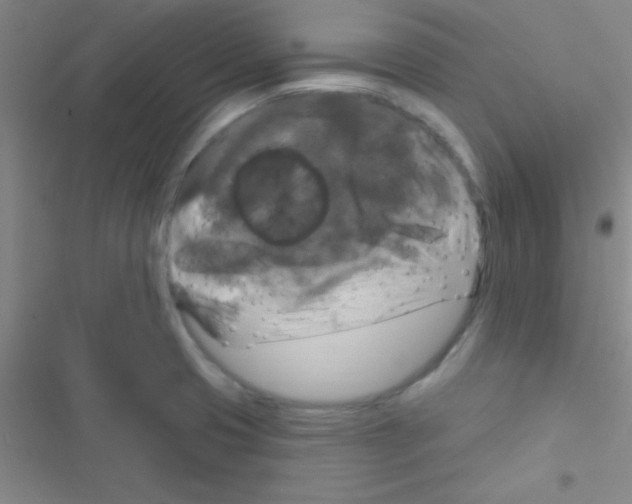 X0000116591425201001211316