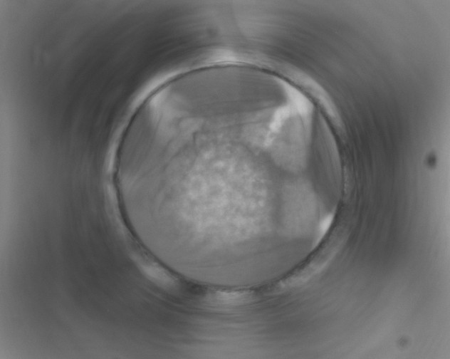 X0000116591427201001211317