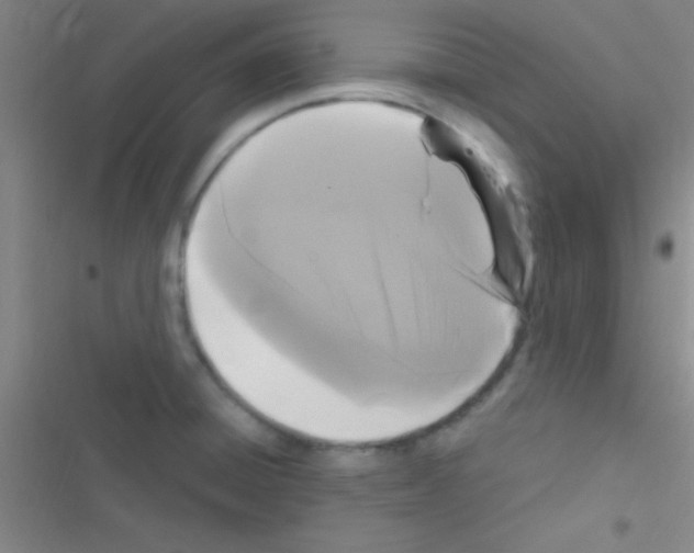 X0000116591428201001211317