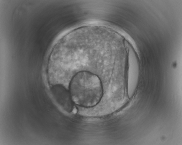 X0000116591429201001211317