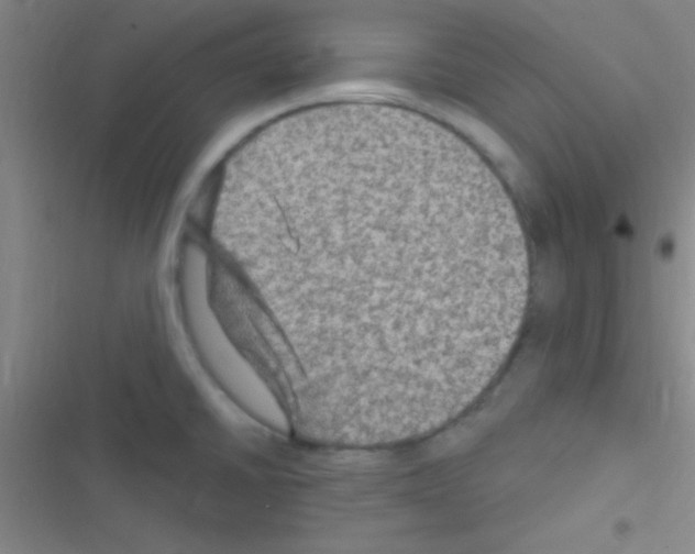 X0000116591430201001211317