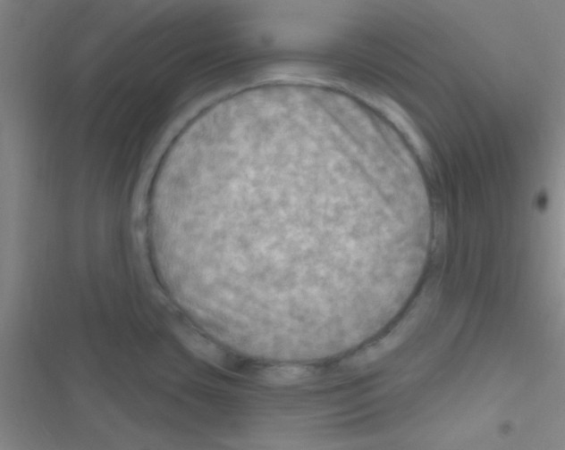 X0000116591435201001211317