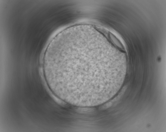 X0000116591437201001211317