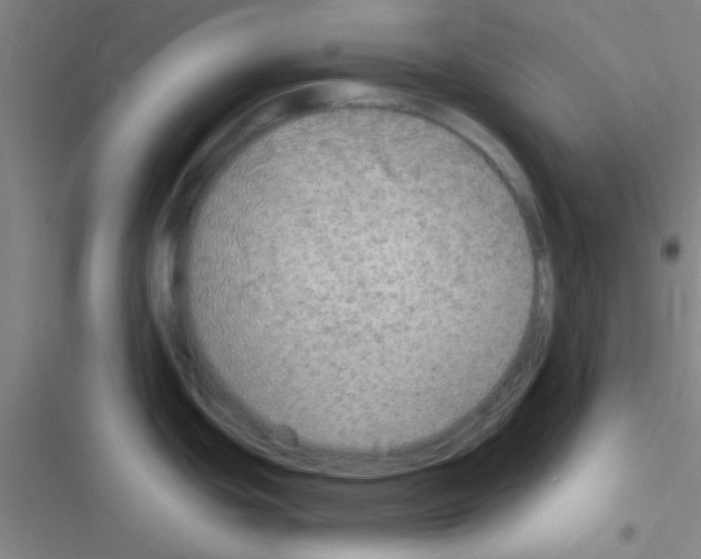 X0000116591439201001211317