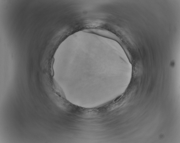 X0000116591441201001211316