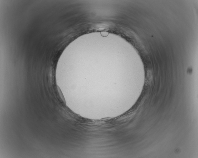 X0000116591442201001211316