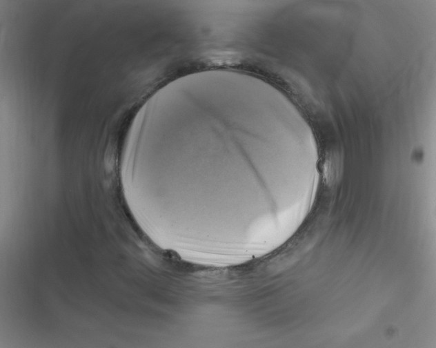 X0000116591444201001211316