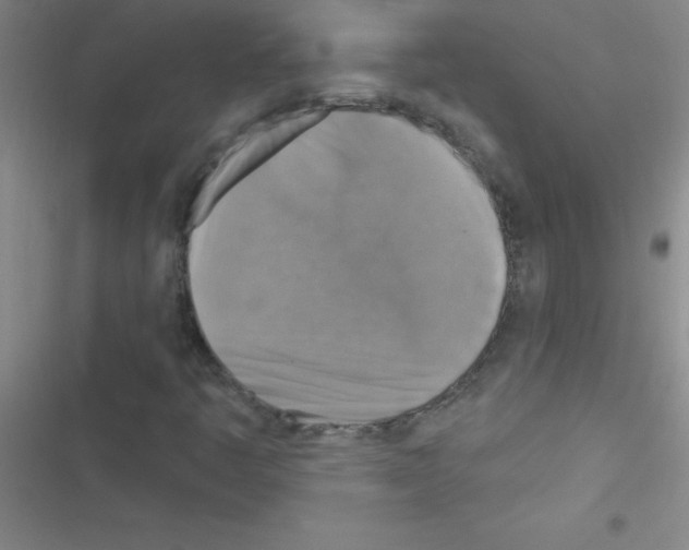 X0000116591445201001211316