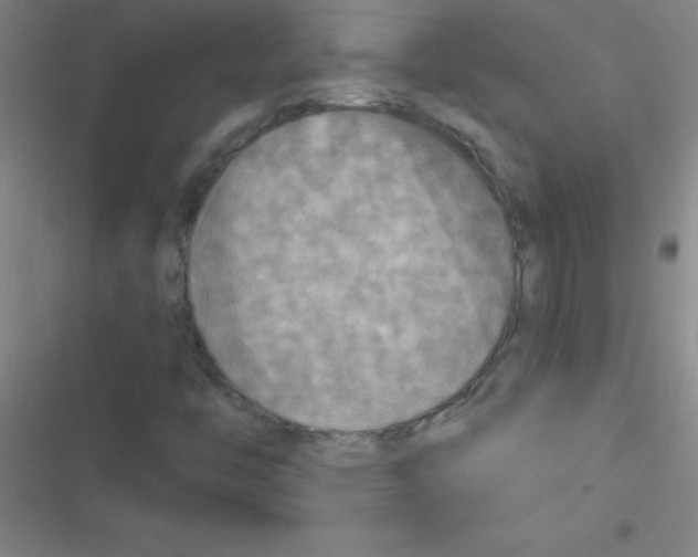 X0000116591446201001211316