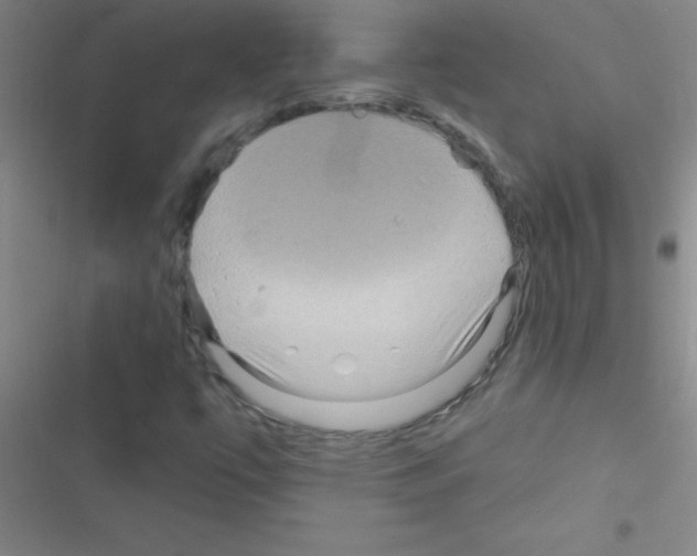 X0000116591447201001211316