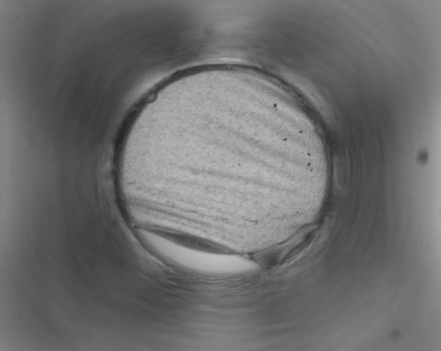 X0000116591452201001211316