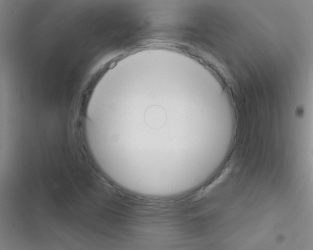 X0000116591453201001211316