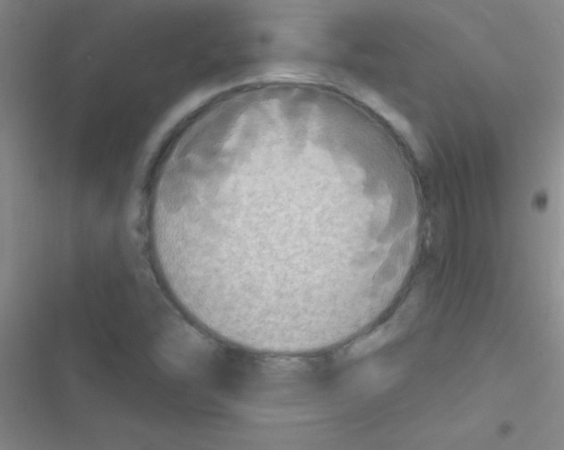 X0000116591454201001211316