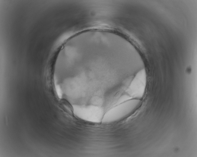 X0000116591455201001211316