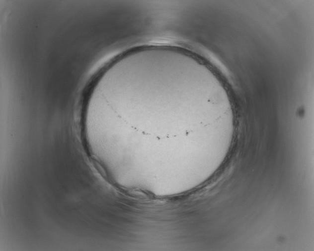 X0000116591456201001211316