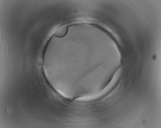 X0000116591459201001211316