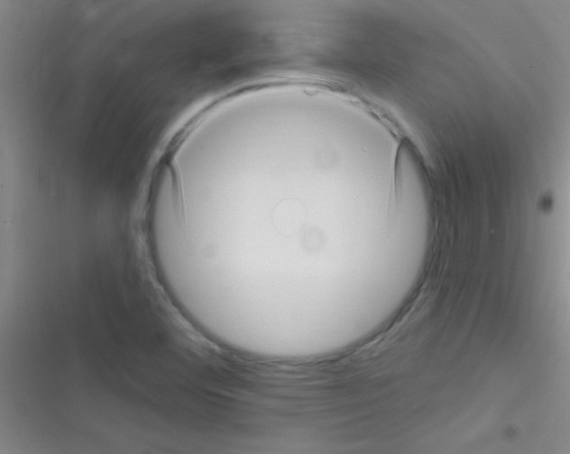 X0000116591460201001211316