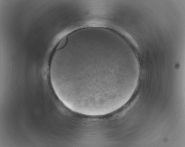 X0000116591461201001211316