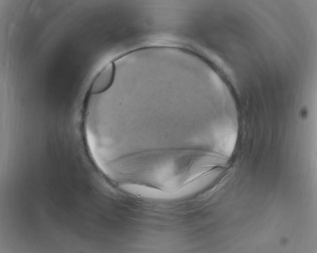 X0000116591463201001211316