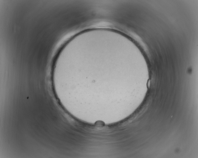 X0000116591464201001211316