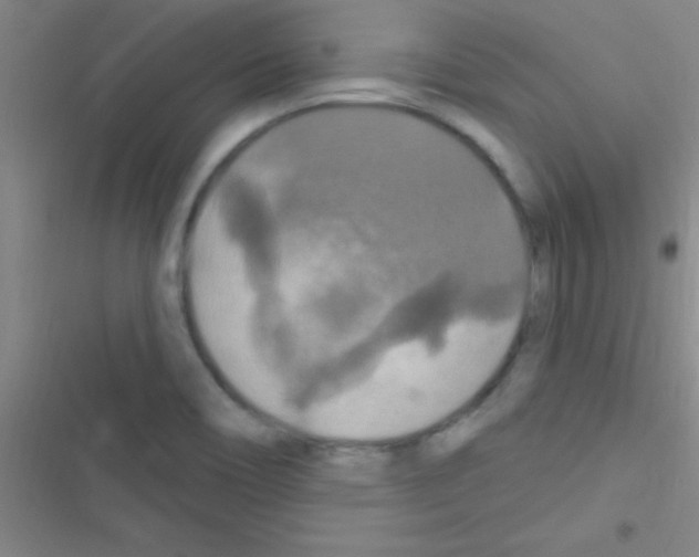 X0000116591466201001211316