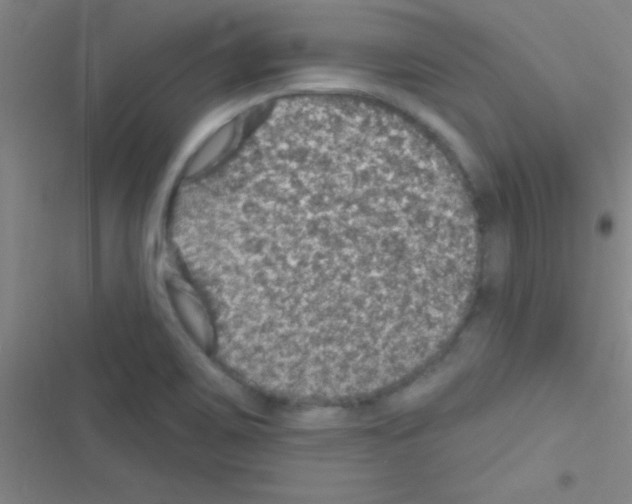 X0000116591467201001211316