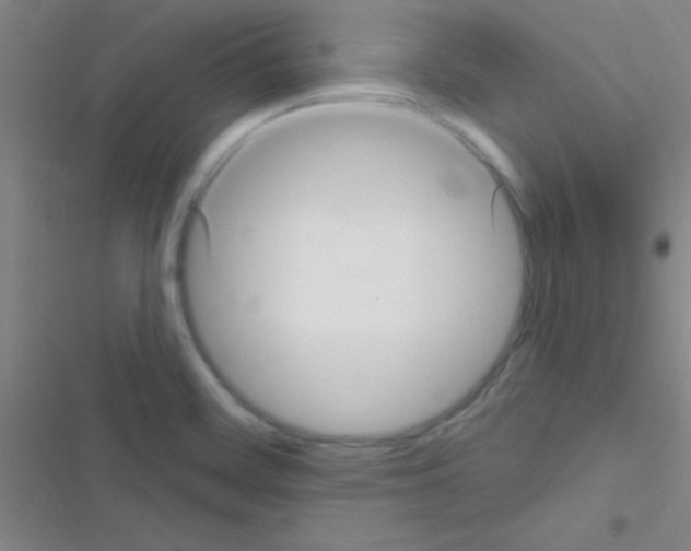 X0000116591468201001211316