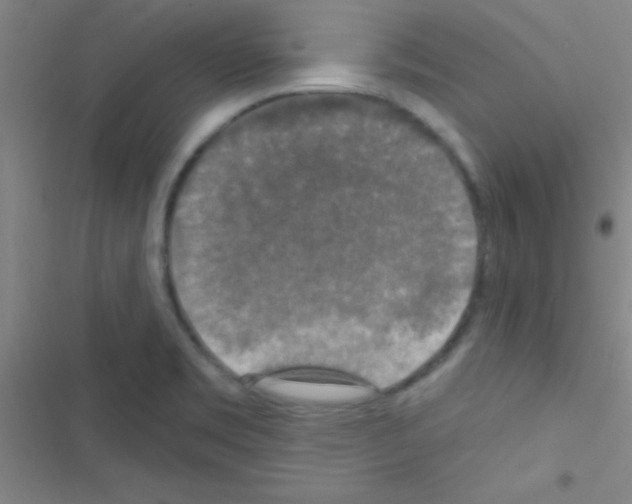 X0000116591469201001211316