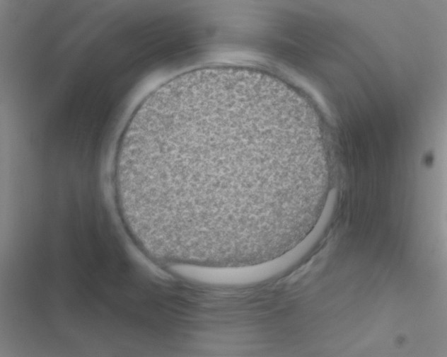 X0000116591471201001211316