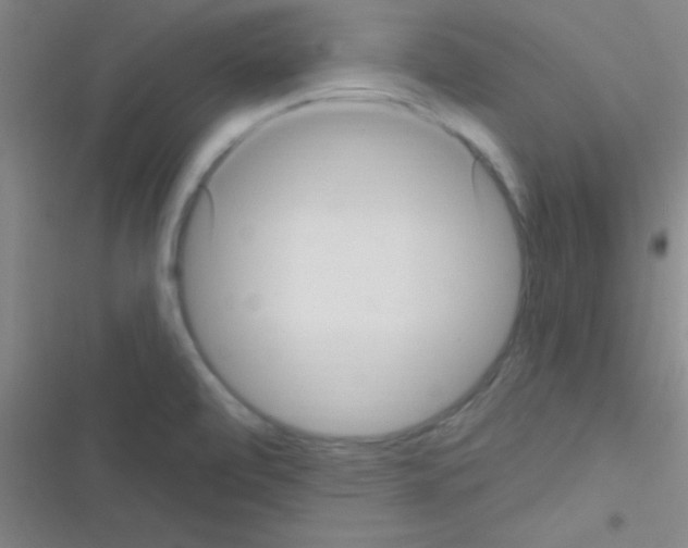 X0000116591472201001211316