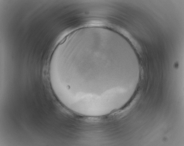 X0000116591473201001211316