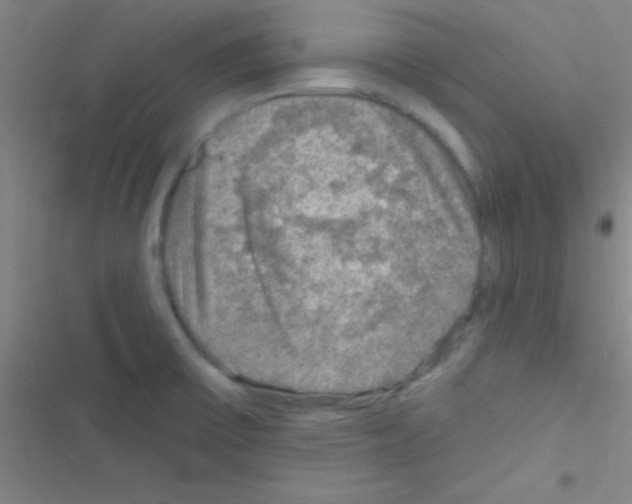 X0000116591475201001211316