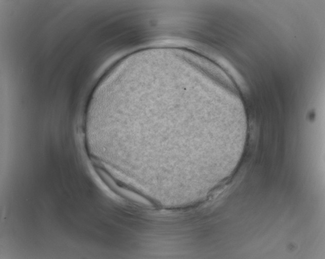 X0000116591476201001211316