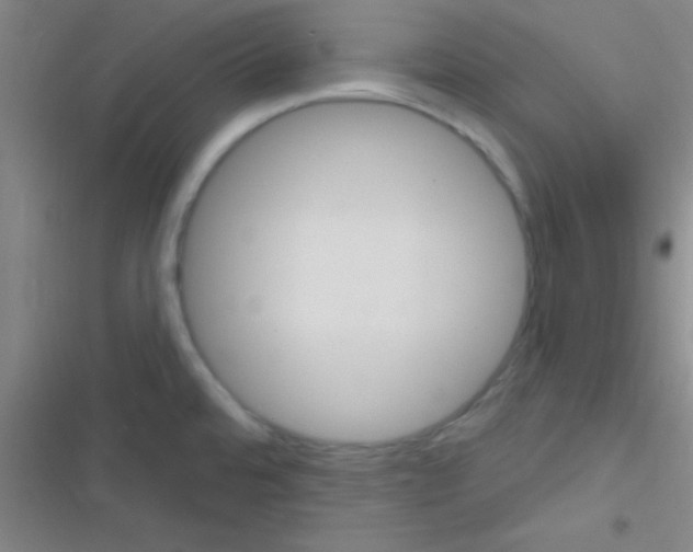 X0000116591480201001211315