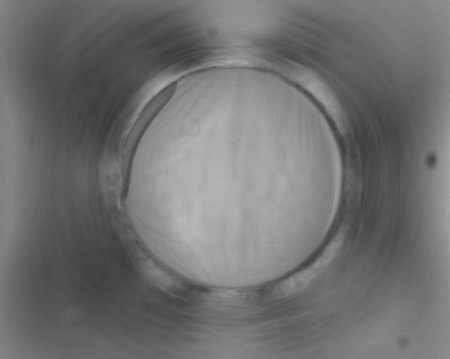 X0000116591481201001211315