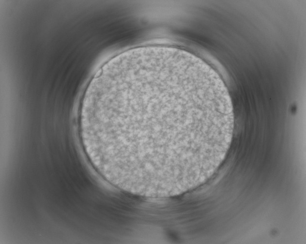 X0000116591483201001211315