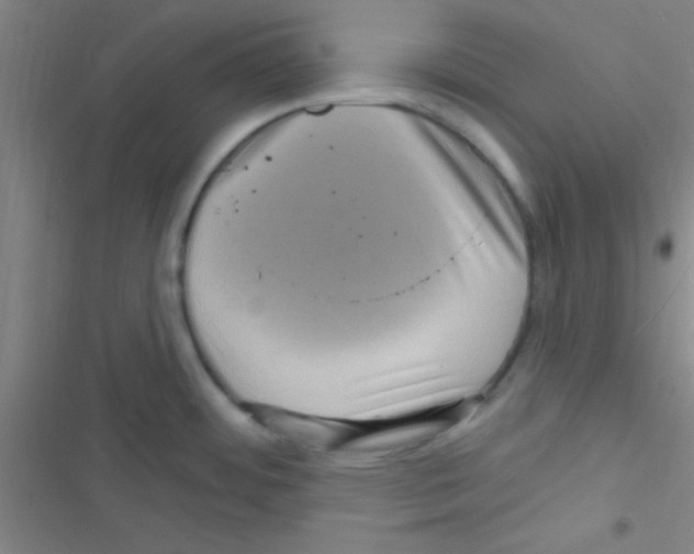 X0000116591484201001211315