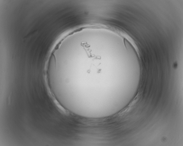 X0000116591485201001211315