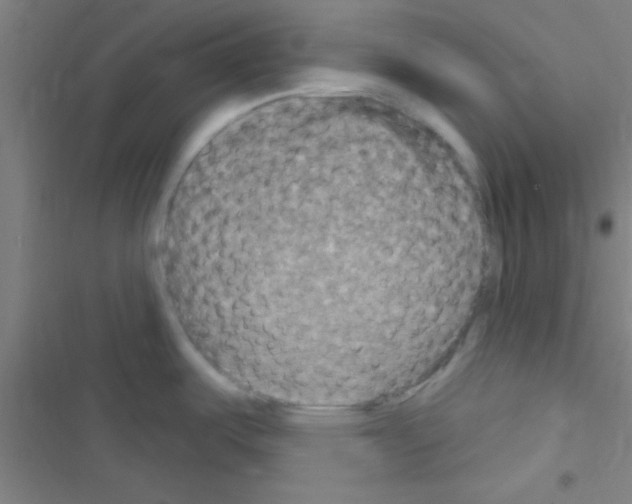 X0000116591487201001211315