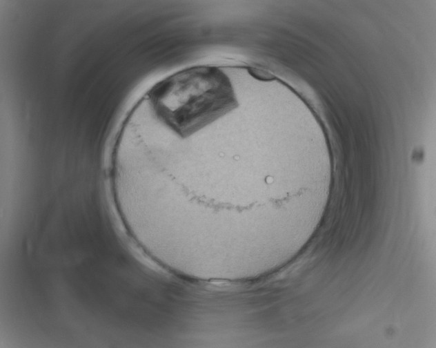 X0000116591488201001211315