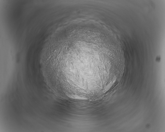 X0000116591489201001211315