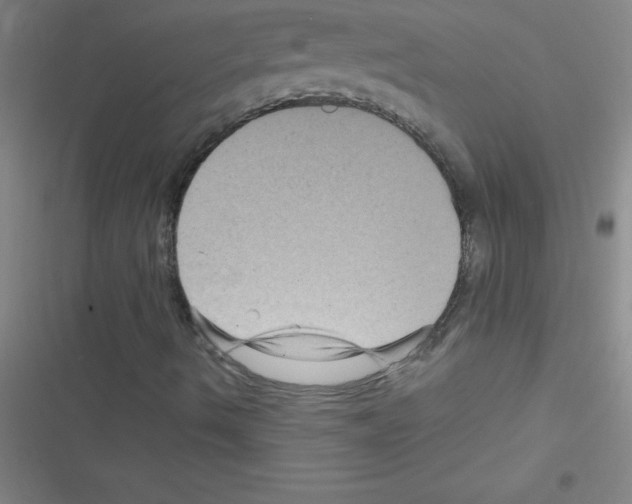 X0000116591490201001211315