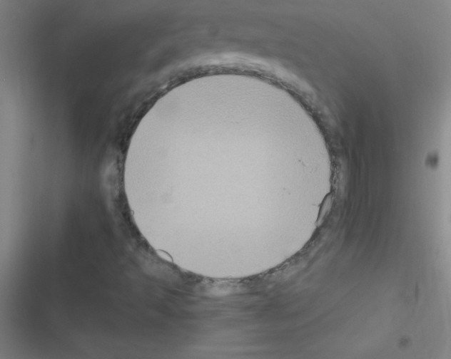 X0000116591493201001211315