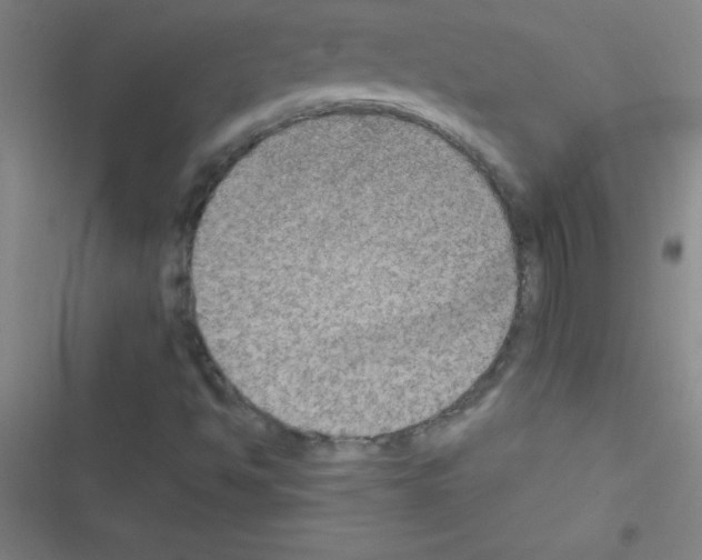 X0000116591494201001211315