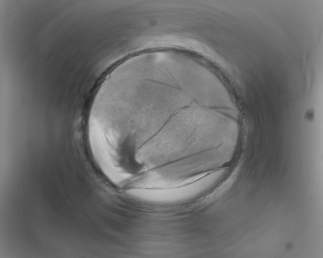 X0000116591497201001211315